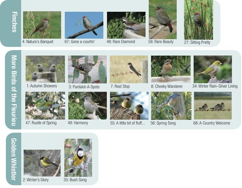 Birds & Wildlife of the Fleurieu Greeting Cards